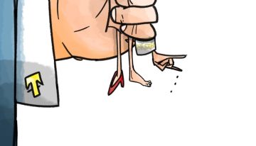 Trump para principiantes