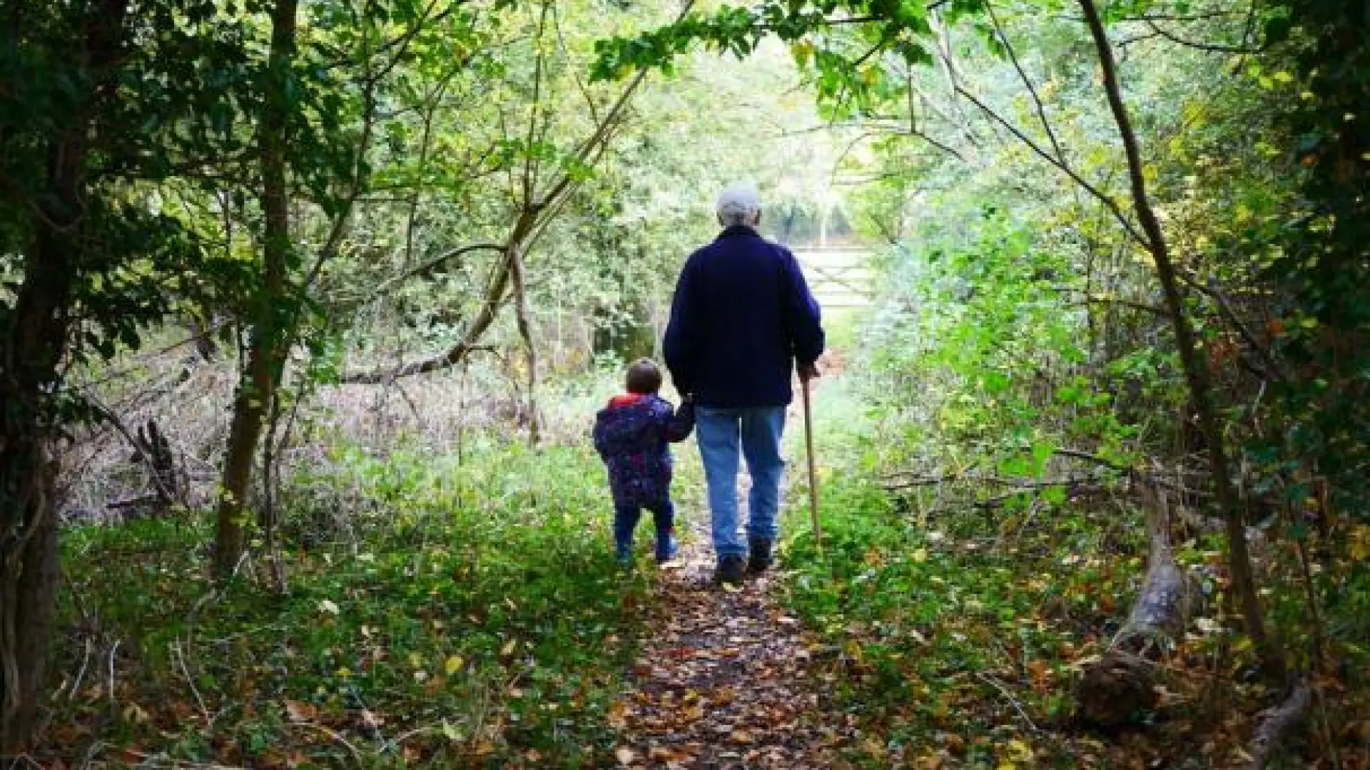 Los abuelos que cuidan de sus nietos menores de seis años tienen mayor riesgo de depresión, según un estudio