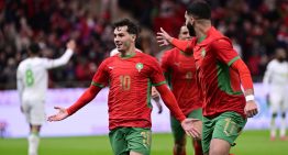 Leones, Zorros, Elefantes y Águilas: el motivo detrás de los apodos a las selecciones de la Copa Africana de Naciones Marruecos 2025