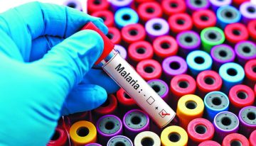 Evacúan a pasajero de crucero tras presentar síntomas de malaria en Isla Mujeres