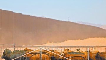 Tamaulipas reduce casos de gusano barrenador, sigue alta presencia en Chiapas, Oaxaca y Veracruz