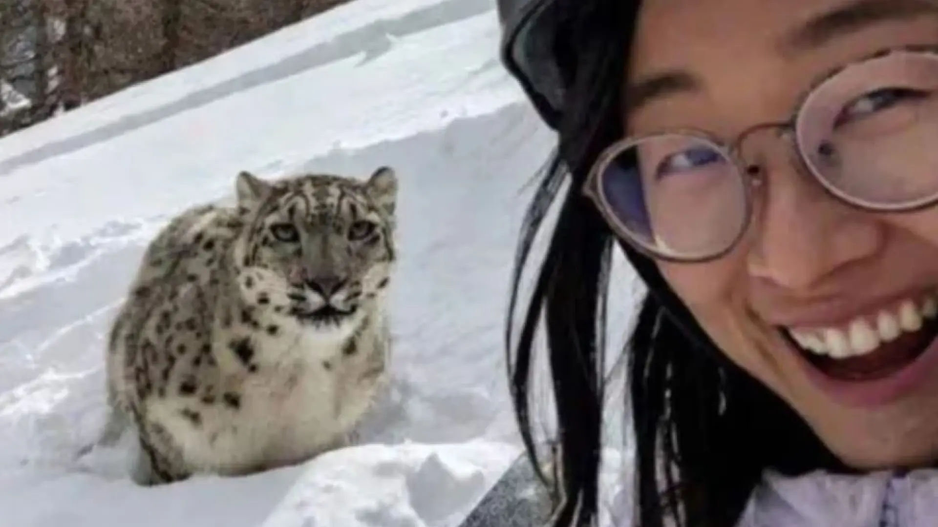El selfie de una turista segundos antes de que un leopardo de las nieves la ataque