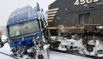 Tormenta invernal en EU perturba el transporte y hace caer iguanas de los árboles