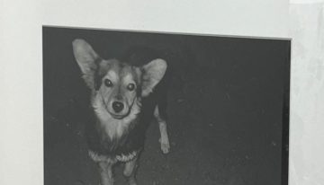 Zona MACO 2026: Premio AXA fortalece el arte emergente mexicano