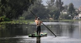 ¡De la peluquería a los canales! Usan cabello humano para salvar el agua de Xochimilco