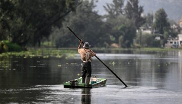 ¡De la peluquería a los canales! Usan cabello humano para salvar el agua de Xochimilco