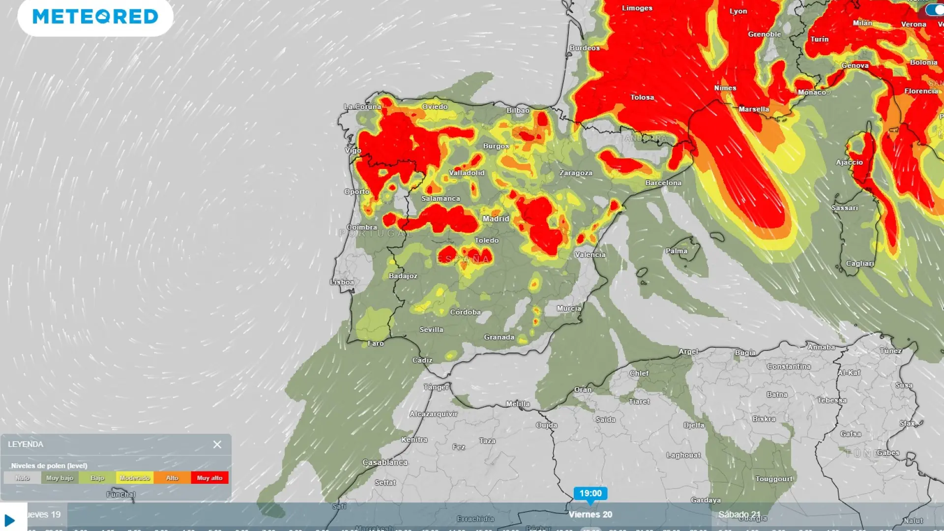 Mapa del polen en España: el invierno lluvioso dispara las previsiones de alergias primaverales