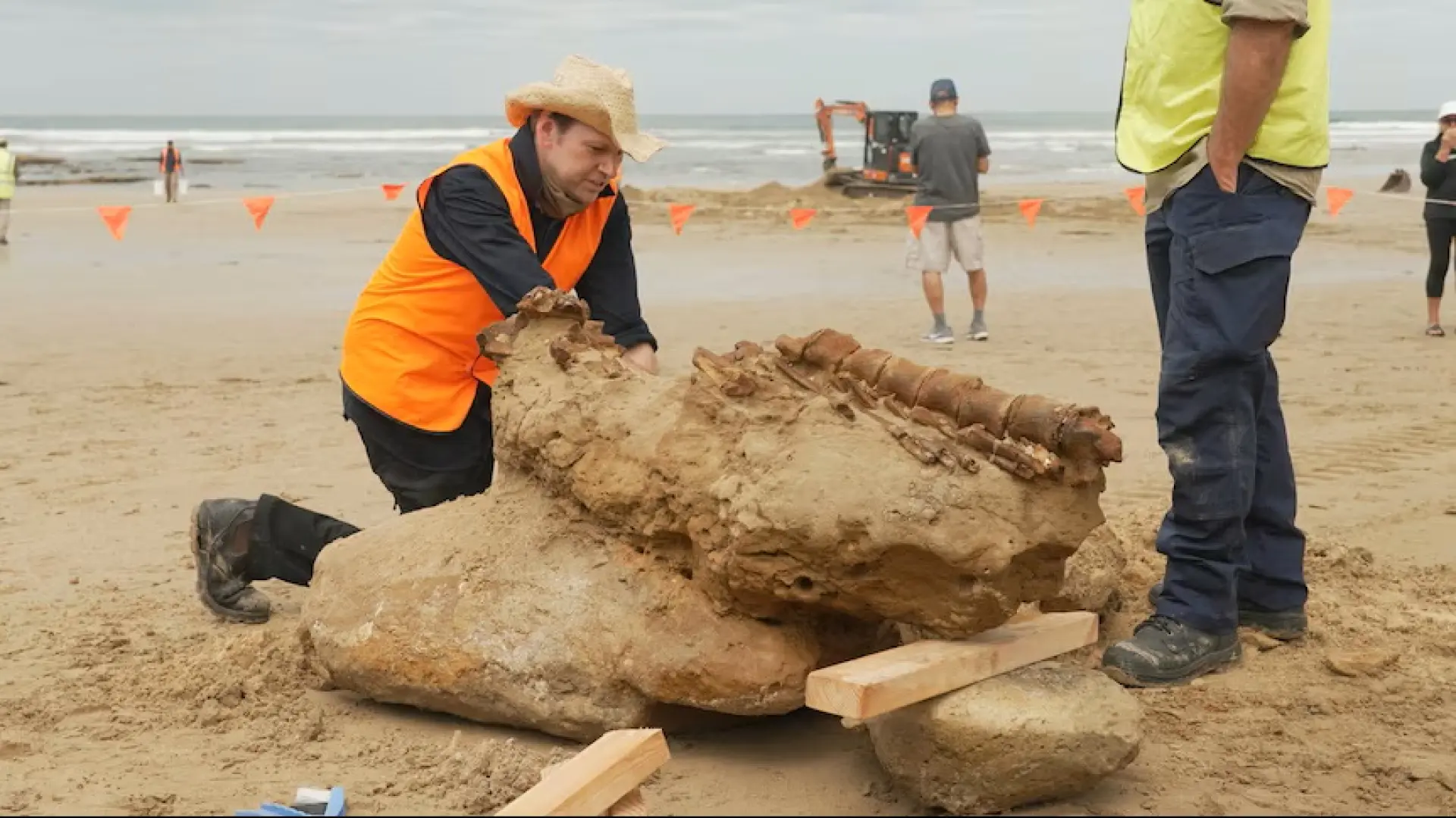 Una familia de vacaciones encuentra en la playa el fósil de una ballena de hace 20 millones de años
