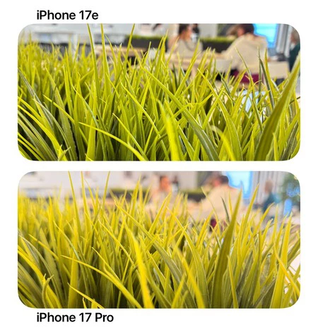 El 17e saca mejor verde y exposición; el 17 Pro tira hacia tonos amarillentos aquí