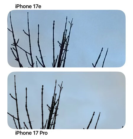 El iPhone 17e va bien hasta ×2. A partir de ×4 el recorte digital es muy evidente y se pierde mucha resolución. El iPhone 17 Pro llega a ×4 con zoom óptico real y mantiene el detalle sin problema.