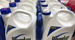 Bayer logra avance clave en EU para resolver las demandas por el herbicida Roundup