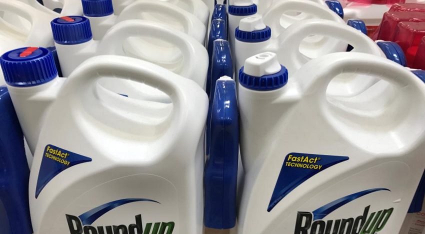 Bayer logra avance clave en EU para resolver las demandas por el herbicida Roundup