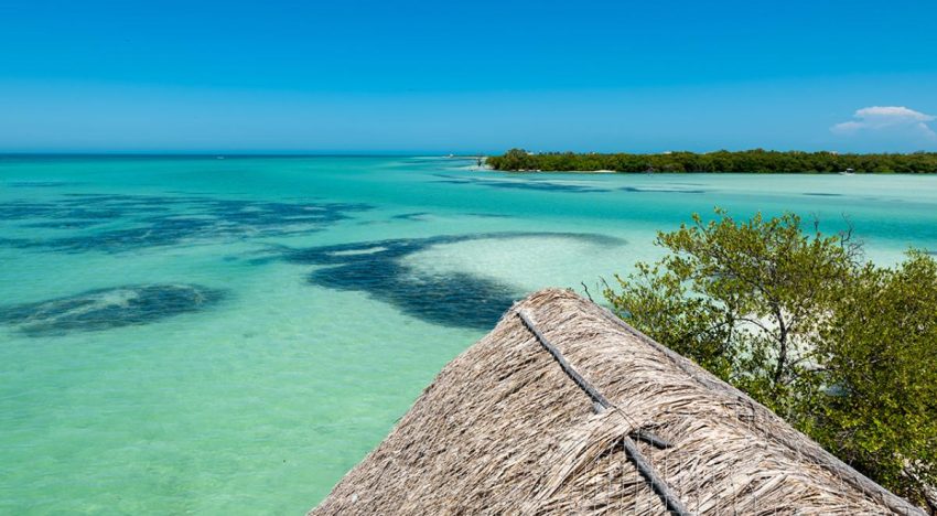 Asociados náuticos piden reconsiderar altos cobros en áreas naturales protegidas de Quintana Roo