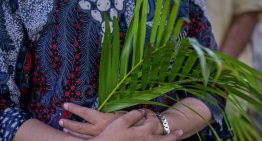 Semana Santa en Jerusalén cambia por conflicto: cancelan procesión del Domingo de Ramos