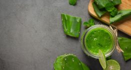 Nopal, la planta que se discute por sus efectos en glucosa, saciedad y digestión