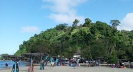 VIDEO: ingreso de vehículos a Playa Larga pone en riesgo a las tortugas de Todasana