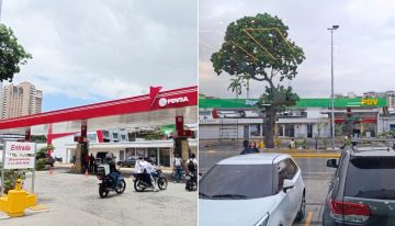 A la Pdvsa de Delcy Rodríguez también le destiñeron el «rojo, rojito»