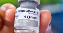 Organizaciones urgen medidas ante el «inicio» de epidemia de fiebre amarilla en Venezuela