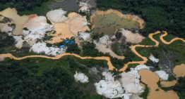 Investigador advierte que el término “minería ecológica” es contradictorio para el nuevo proyecto de ley