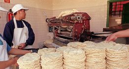 CNT prevé alza de hasta 4 pesos en el kilo de tortillas en la CDMX