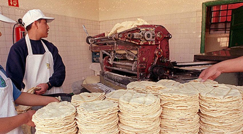 CNT prevé alza de hasta 4 pesos en el kilo de tortillas en la CDMX