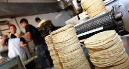 Sheinbaum vs tortilleros ¿Qué se sabe sobre el aumento al precio de la tortilla?