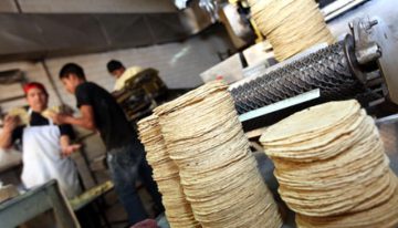 Sheinbaum vs tortilleros ¿Qué se sabe sobre el aumento al precio de la tortilla?