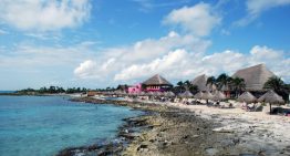 Profepa no ha sido notificada sobre amparo a Royal Caribbean