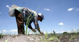 Inseguridad y extorsión, el paro nacional expone la crisis estructural del campo: GCMA