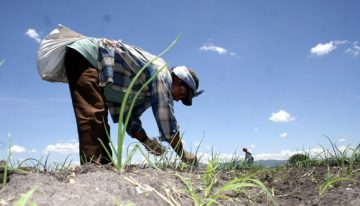 Inseguridad y extorsión, el paro nacional expone la crisis estructural del campo: GCMA