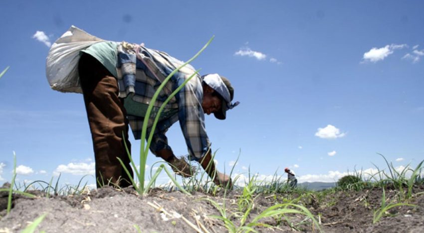 Inseguridad y extorsión, el paro nacional expone la crisis estructural del campo: GCMA