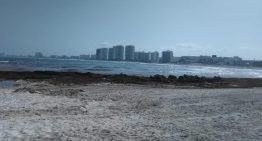 Hoteleros de Quintana Roo piden destinar parte de sus contribuciones a fondo contra e sargazo