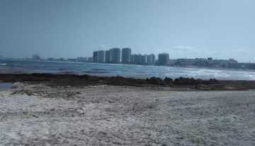 Hoteleros de Quintana Roo piden destinar parte de sus contribuciones a fondo contra e sargazo