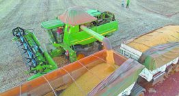 El trigo, el maíz y la soja de Chicago suben ante el repunte del petróleo