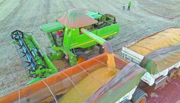 El trigo, el maíz y la soja de Chicago suben ante el repunte del petróleo