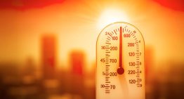 FAO y OMM advierten que el calor extremo amenaza los sistemas alimentarios mundiales