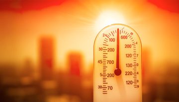 FAO y OMM advierten que el calor extremo amenaza los sistemas alimentarios mundiales