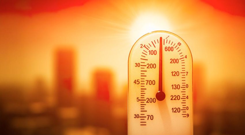 FAO y OMM advierten que el calor extremo amenaza los sistemas alimentarios mundiales