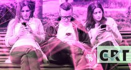 A contrarreloj por el registro celular: Industria intensifica presión ante vencimiento del plazo legal