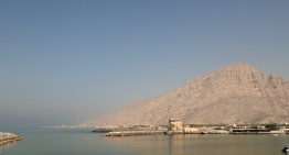 Aliados de la OTAN se niegan a sumarse al bloqueo del estrecho de Ormuz impulsado por Trump