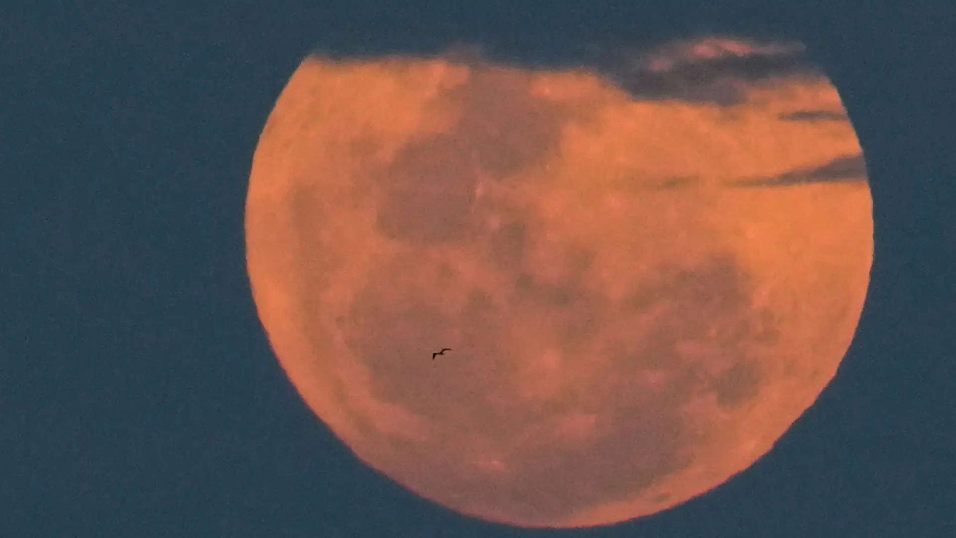La Luna se sonroja por una noche: así se vivió la Superluna de abril en el mundo