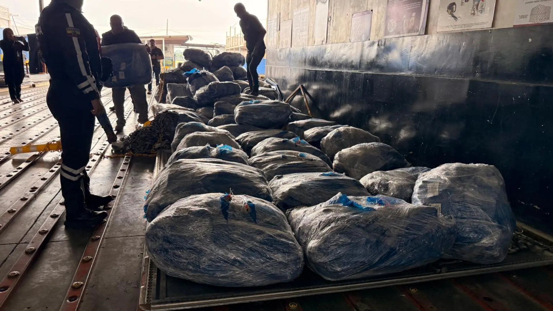 Decomisan en Ecuador cerca de 22.000 aletas de tiburón que iban a ser enviadas a Malasia