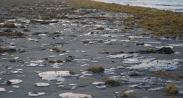 Crece derrame en litoral del Golfo