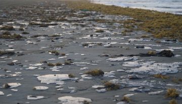 Crece derrame en litoral del Golfo