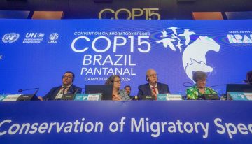 La COP15 blinda a 40 especies migratorias y pone el financiamiento sobre la mesa