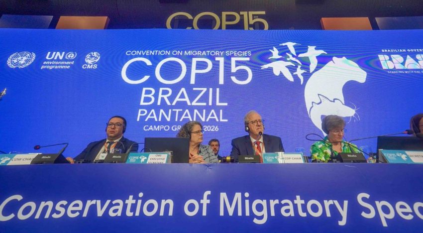 La COP15 blinda a 40 especies migratorias y pone el financiamiento sobre la mesa