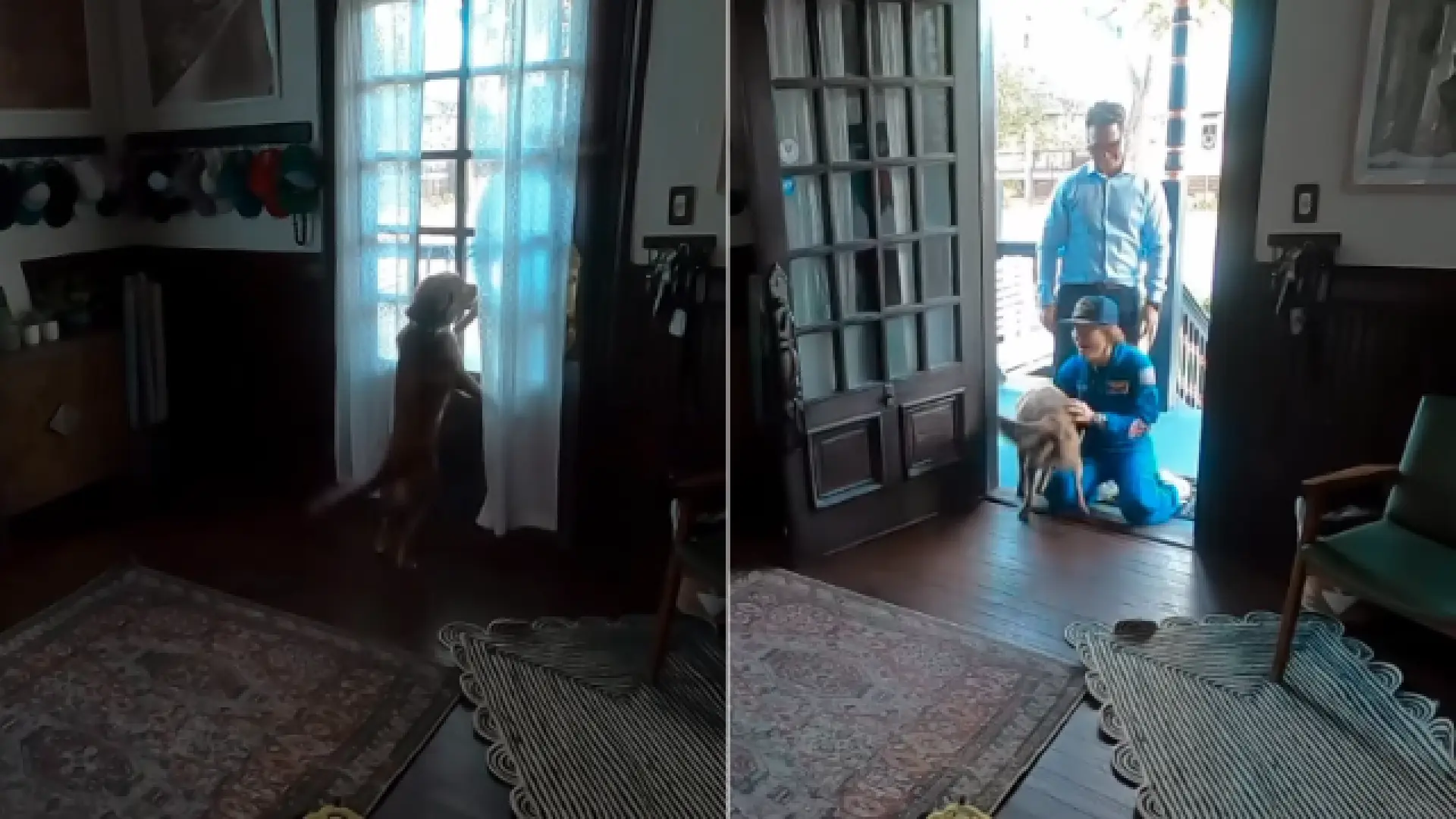 El tierno reencuentro entre la astronauta Christina Koch y su perra Sadie tras volver de la misión Artemis II