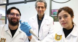 IPN avanza en la regeneración de huesos, cartílago y tejido muscular por medio de células madre