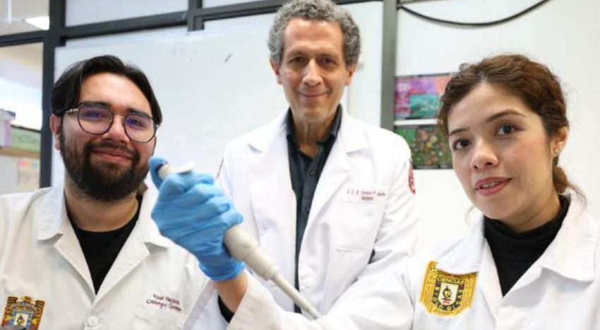 IPN avanza en la regeneración de huesos, cartílago y tejido muscular por medio de células madre