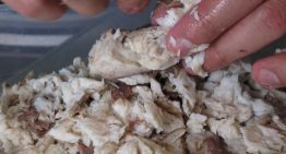 Científicos venezolanos iniciaron campaña para detener el consumo del cazón en Venezuela